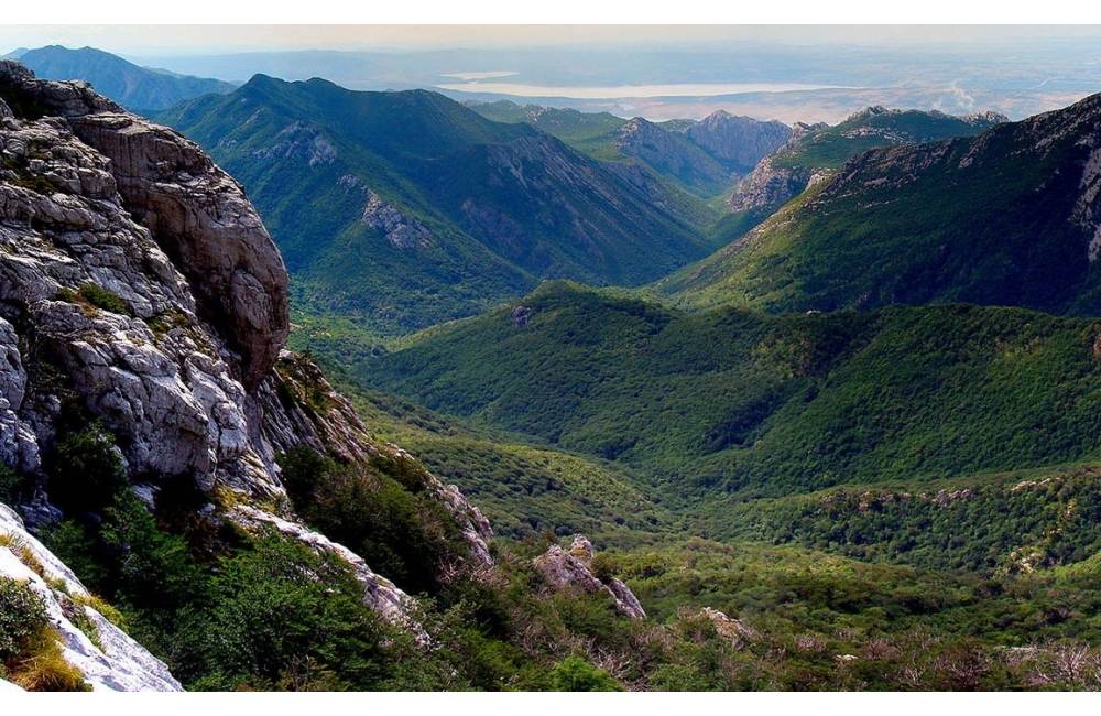 Vláda schválila komplexný návrh opatrení na ochranu  Karpatských bukových pralesov