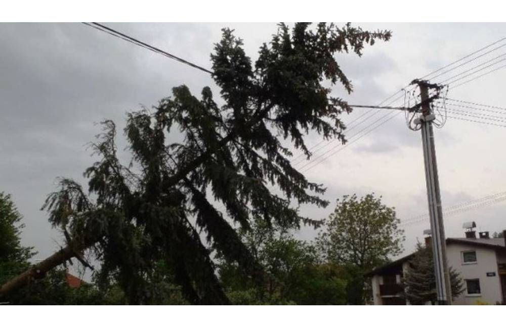 V Chmiňanoch spílený strom poškodil elektrické vedenie, niekoľko hodín boli obce bez elektriny