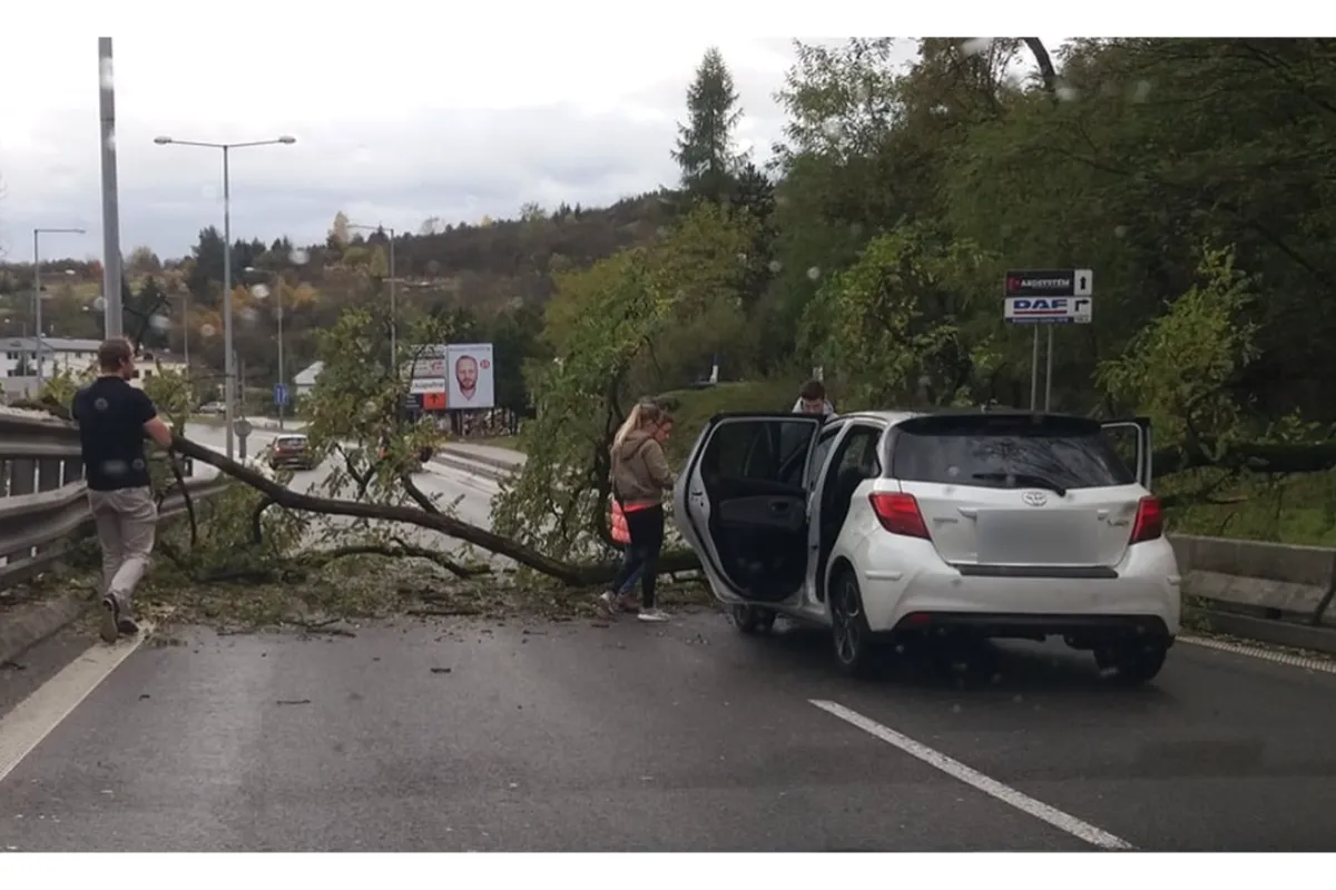 Meteorológovia varujú pred vetrom v Prešovskom kraji. Platí výstraha