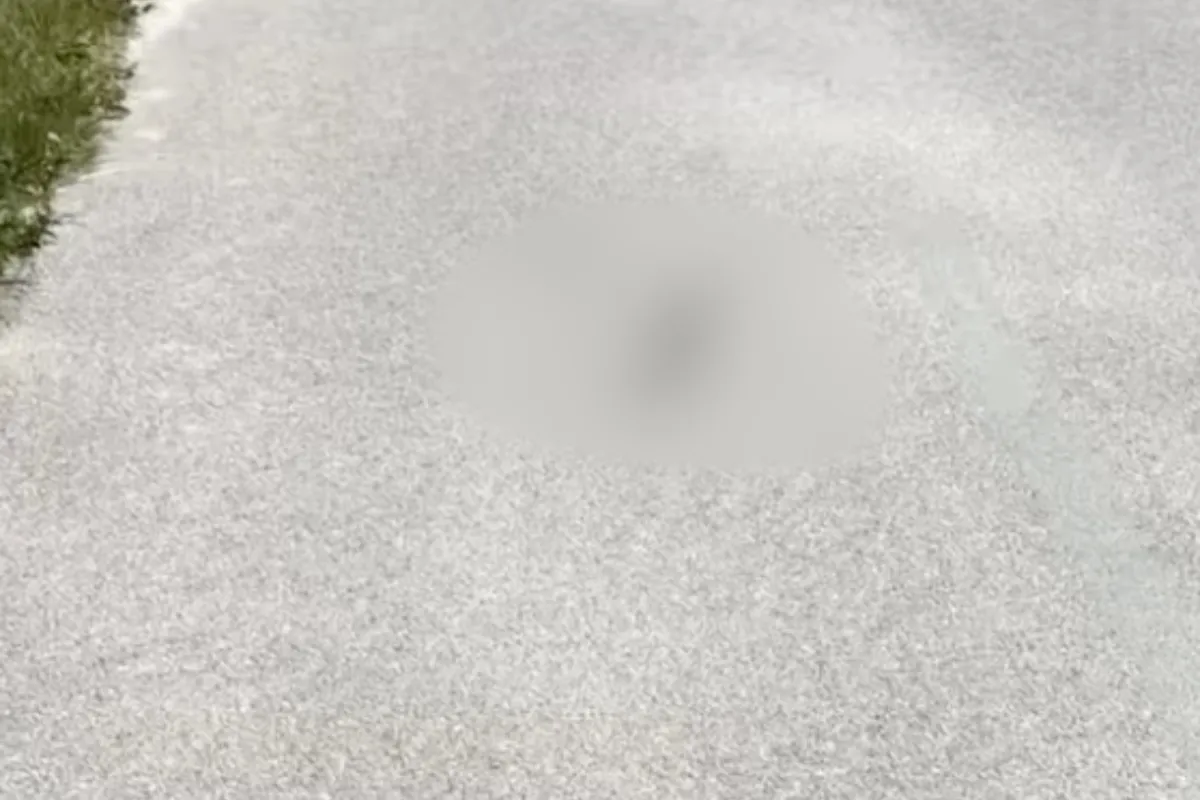 VIDEO: Vzácne stretnutie blízko Prešova. Cyklista na chodníku spozoroval nečakaného obyvateľa