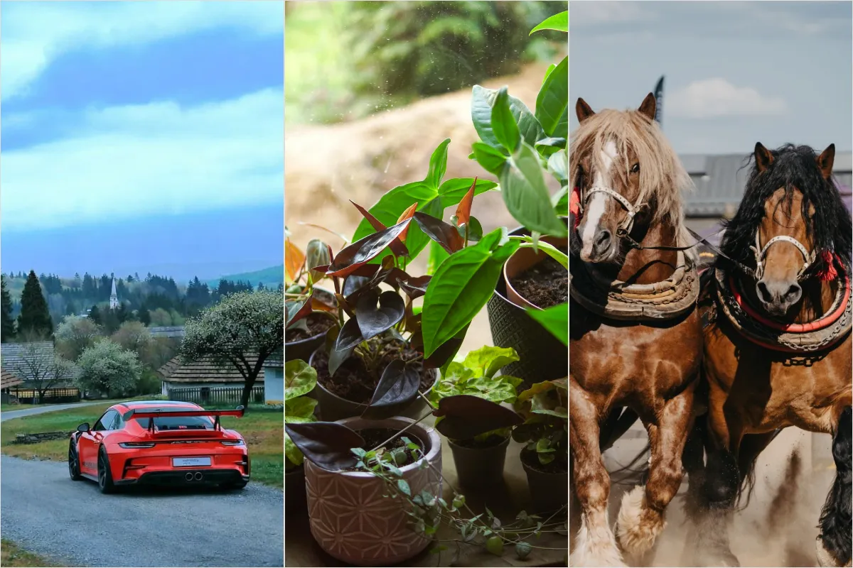 PREHĽAD: Prvý májový víkend prinesie do Prešovského kraja pestrý program. Na čo sa môžete počas predĺženého voľna tešiť?