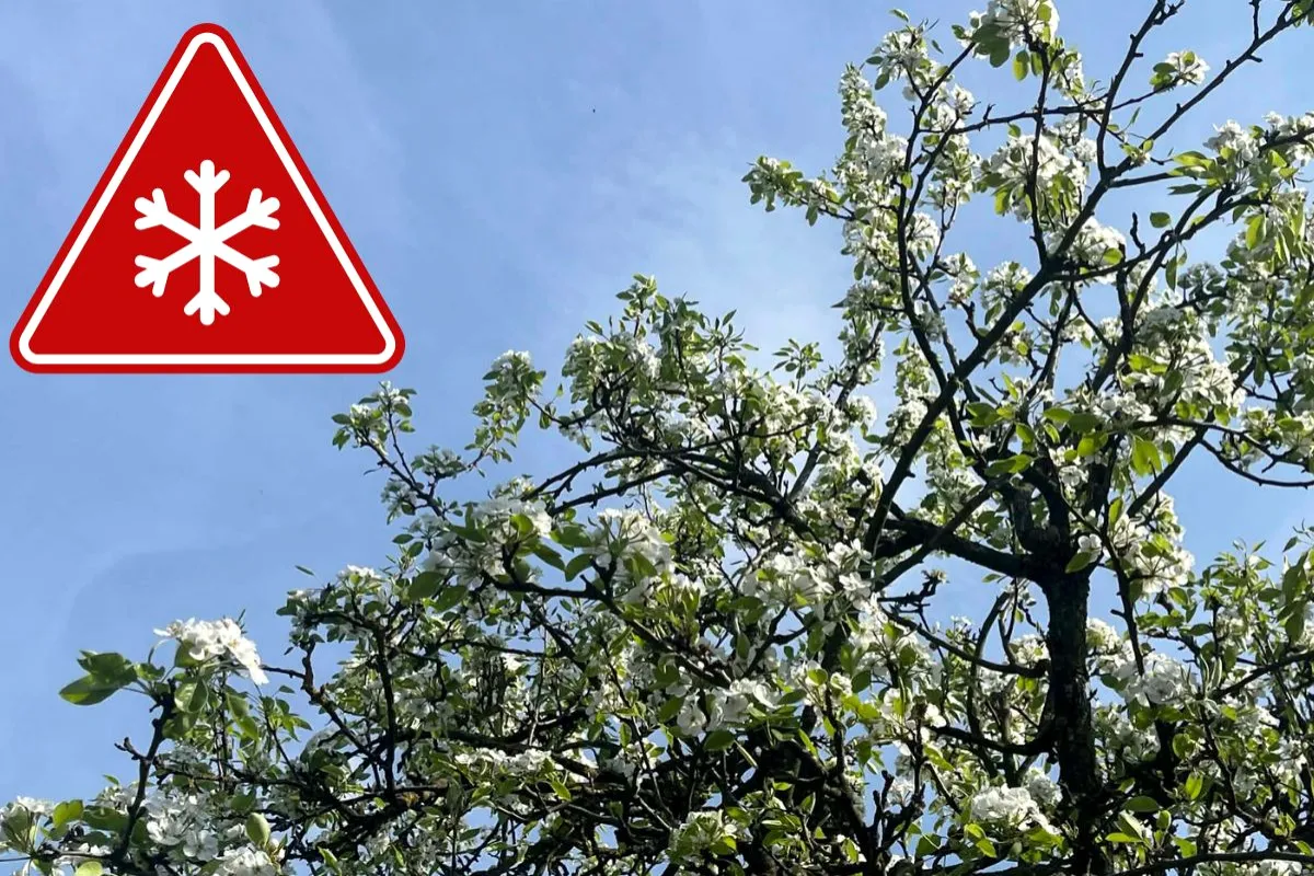 Pochádzate z Prešovského kraja? Pozor na poriadne mrazivú noc, bez kabáta a teplého svetra z domu ani neodchádzajte