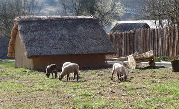 Slovenskí archeológovia ocenili hanušovský Archeopark