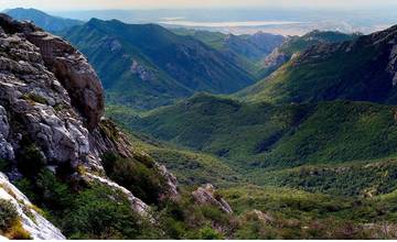 Vláda schválila komplexný návrh opatrení na ochranu  Karpatských bukových pralesov