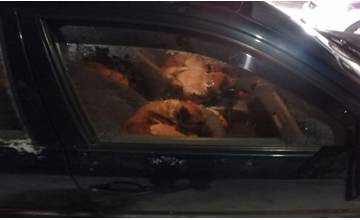 Trojica mužov z obce Kaľava ukradla 7 psov, policajti ich zastavili pri cestnej kontrole