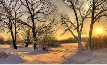 Slovensko čaká najmrazivejší záver februára za posledných 30 rokov, prvé marcové dni prinesú +15°C