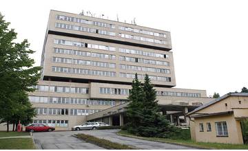 Lekára v Prešove odsúdili za prijímanie úplatkov vo forme domácej slivovice, vajec a orechov