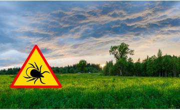 Sezóna kliešťov sa začala, odborníci radia ako sa pred nimi chrániť a ako ich vytiahnuť