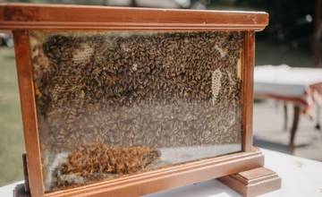 V Ľubovnianskom skanzene sa uskutoční 15. ročník sladkého podujatia Deň medu