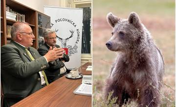 Situácia s medveďmi je podľa poľovníkov a ochranárov politicky manipulovaná