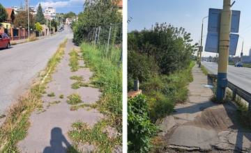 FOTO: Chodníky v Prešove sú zarastené zeleňou a obkolesené konármi. Mesto tvrdí, že na ich odstraňovaní pracuje