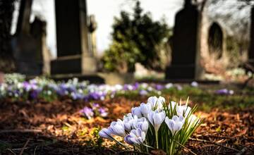 Čo doniesť na hroby namiesto plastových kvetov či kahancov? Tieto tipy vám pomôžu prežiť dušičky udržateľne