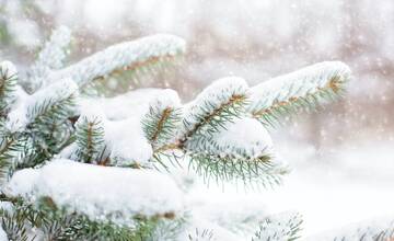 Meteorológovia upozorňujú na sneženie v Prešovskom kraji. Výstrahy platia až do nedele