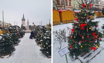 FOTO: Južný park v Prešove skrášľujú vianočné jedličky. Žiaci využili ozdoby z ekologických materiálov