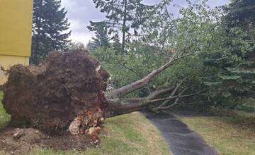 V mnohých oblastiach zúri víchrica. V prípade silného vetra sa riaďte týmito odporúčaniami