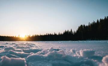 Počas februára nás prekvapili mimoriadne vysoké teploty. Vráti sa ešte zima? 