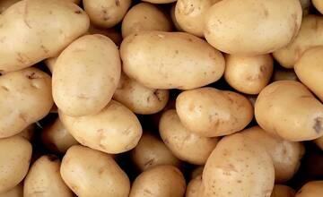 Neznámy páchateľ ukradol v okrese Sabinov 150 kíl zemiakov