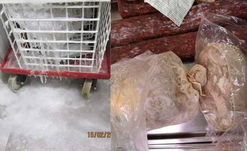 FOTO: Pleseň, exkrementy od hlodavcov či potraviny po záruke. Inšpektori odhalili nedostatky v prevádzkach