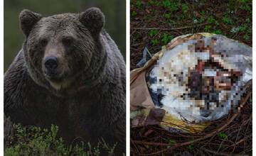 Organizácia My sme les upozorňuje na vrece s mŕtvymi zvieratami: Takto konflikty s medveďmi neprestanú