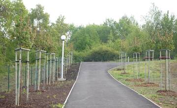 FOTO: Snina ozelenieva. S podporou Nórska vysadili dažďové záhrady a dve stovky stromov