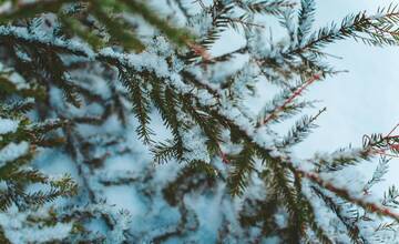 Šialené aprílové počasie pokračuje: Pre okresy Prešovského kraja platia výstrahy pred snežením