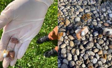 Majitelia psíkov, v Poprade počas venčenia zvýšte opatrnosť: Niekto tam rozhádzal návnadu s pripináčikmi