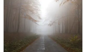 Meteorológovia vydali výstrahy: V Prešovskom kraji si dávajte pozor na hmlu