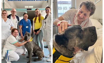 FOTO: Na oddelení dlhodobo chorých v Kežmarku spríjemňuje čas pacientom štvornohý Goro