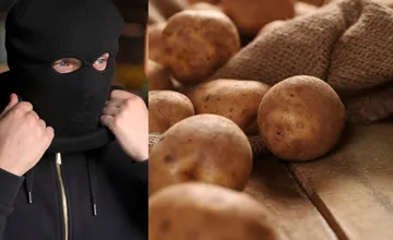 Veľká zemiaková lúpež v Toryse: Zlodej si z pivnice odniesol kuriózny lup, z úrody ukradol takmer pol tony