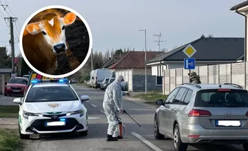Plánujete výlet za hranice? Buďte na pozore, Poľsko sprísňuje kontroly na hraničných priechodoch