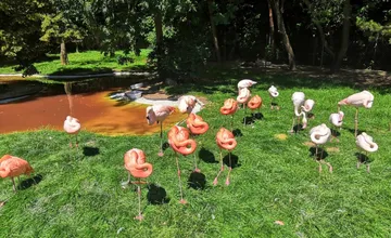Zoologické záhrady na východe môžu znovu privítať návštevníkov, opatrenia sa postupne uvoľňujú