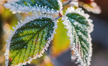 Pripravte sa na zimu. Aj v Prešovskom kraji platia výstrahy pred mrazom