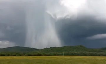 VIDEO: V okrese Stropkov sa cestujúcej naskytol nezvyčajný pohľad, ktorý len tak neuvidíte. O čo ide?