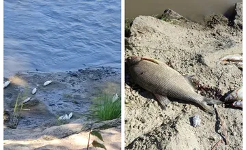 FOTO: Apokalyptický pohľad na Torysu. Prešovčanke sa pri prechádzke naskytol takýto hrôzostrašný záber