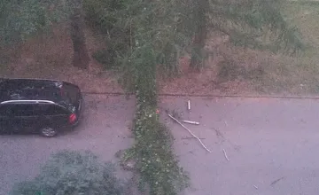 FOTO: Na Sídlisku 2 v Prešove spadol strom, masív dopadol len pár krokov od stojaceho auta