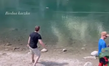 VIDEO: Mladík svojou „zábavou“ pri Zelenom plese pobúril turistov. Kameňom trafil plávajúcu kačku v jazere