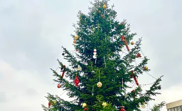 Mesto Snina žiada o pomoc. Hľadá ten najkrajší vianočný stromček, ktorý bude o pár mesiacov zdobiť námestie