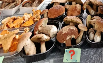 Cena dubákov v Košiciach vyrazila obyvateľke dych. To nemyslíte vážne?, reagovala na cenovku