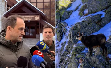 FOTO: Kamzíkov v Tatrách dramaticky ubudlo. Jesenné sčítanie odhalilo najnižší počet za roky, odborníci varujú