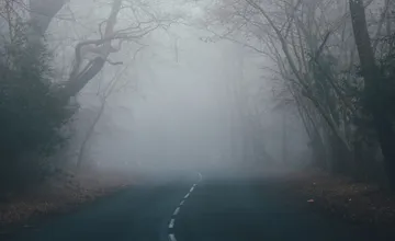 Za volantom si dávajte pozor. Čoskoro začnú v Prešovskom kraji platiť výstrahy pred hmlou