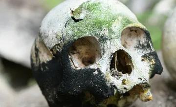 Mladík z Bzenova našiel pri prechádzke v lese ľudskú lebku, zalarmoval políciu