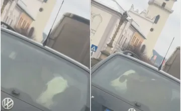 VIDEO: Kuriózne video baví internet. Pri Kežmarku viezli pred Vianocami v kufri auta namiesto kapra teliatko