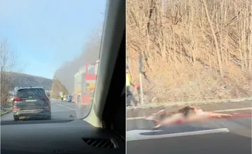VIDEO: Auto zrazilo vysokú zver na ceste medzi Sabinovom a Prešovom. Zasahuje polícia aj hasiči, rátajte so zdržaním