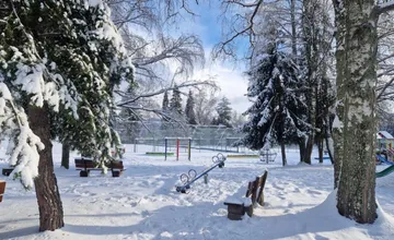 Pri detských kúpeľoch v Lučivnej vyrúbali desiatky stromov. Toto rozhodnutie schytalo kritiku