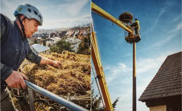 FOTO: Bociany sa pod Tatry vrátili skôr, chystali im už nové domovy, niektoré obsadili okamžite