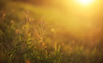 Počasie nás v Prešovskom kraji poriadne potrápilo. Príde počas Veľkej noci vytúžená zmena?