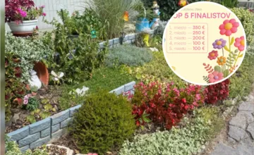 FOTO: Prešov opäť hľadá najkrajšiu predzáhradku. Stačí sa prihlásiť a môžete získať stovky eur aj vecné ceny