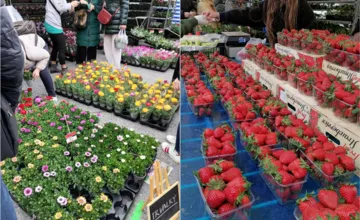 VIDEO: Prešovčania, pripravte sa. Veľtrh Záhrada je späť, prinesie tipy pre dom aj záhradu a sľubujú aj 20-metrový závin