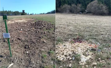 FOTO: Vnadiská pri obciach Lemešany a Komjatná lákali medvede. Po upozornení ich odstránili, riziko však pretrváva