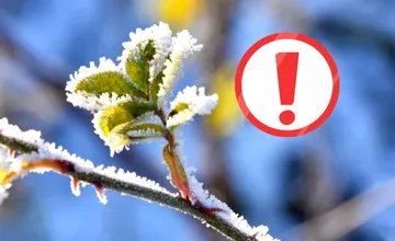 V týchto okresoch si ochráňte úrodu pred podzemným mrazom, SHMÚ vydal výstrahu